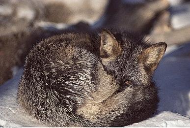 《火花奇遇记：自动化冒险》正式版还将登陆PS5和Xbox Series