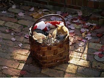 《最后的生还者2》PC版自带修改器 尽情享受乐趣